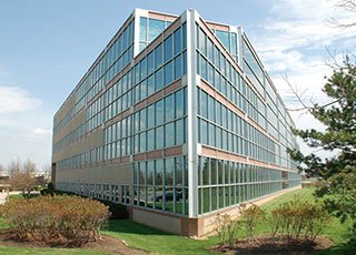 COUNTREE USA LLC