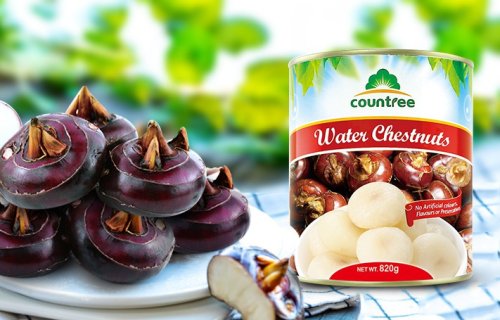 Canned Water Chestnut