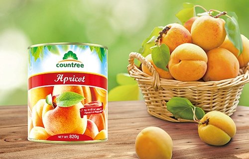 Canned Apricot