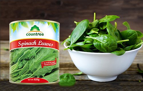 Canned Spinach