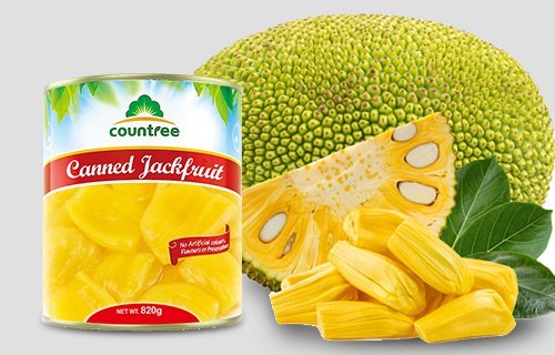 Canned Jackfruit