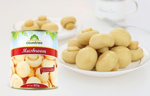 Canned Mushroom