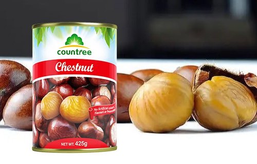 Canned Chestnut