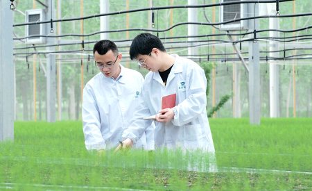 Cooperate with research institutes and  agricultural institutions in the R&D of new varieties. 