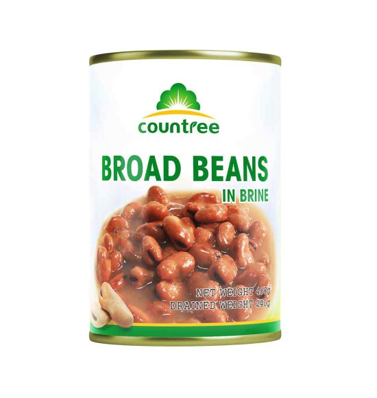 Canned Broad beans