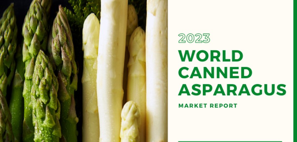 Global Canned Aspagus Market Report 2023