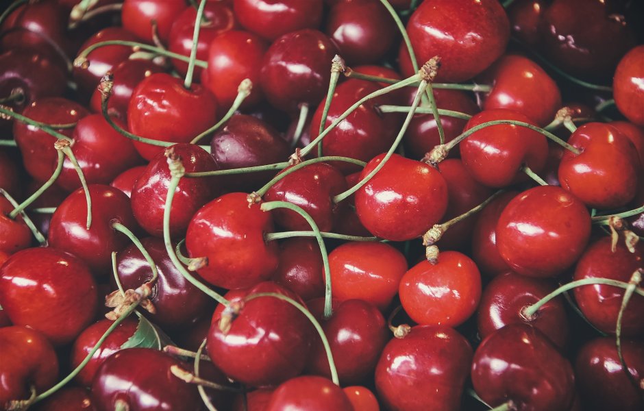 Cherry Production Decline Causes Concern in Global Market