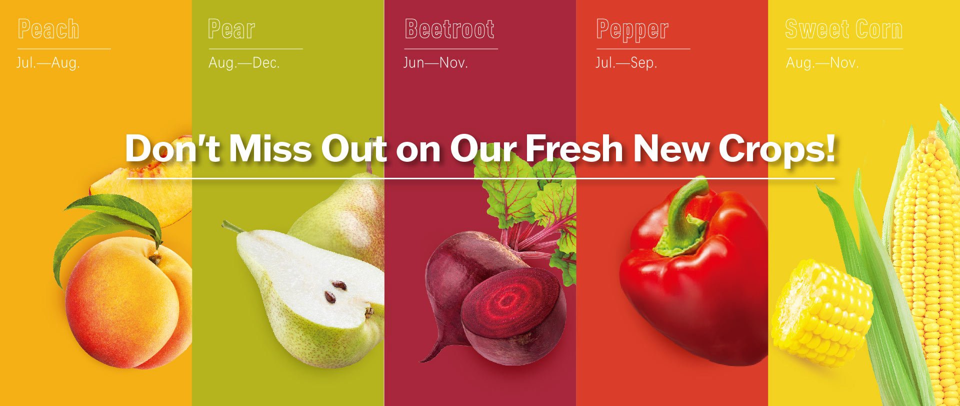 Don't Miss Out on Our Fresh New Crops!