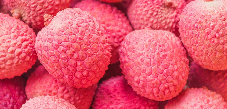 Conditions in major Chinese lychee production areas are great as market officially opens