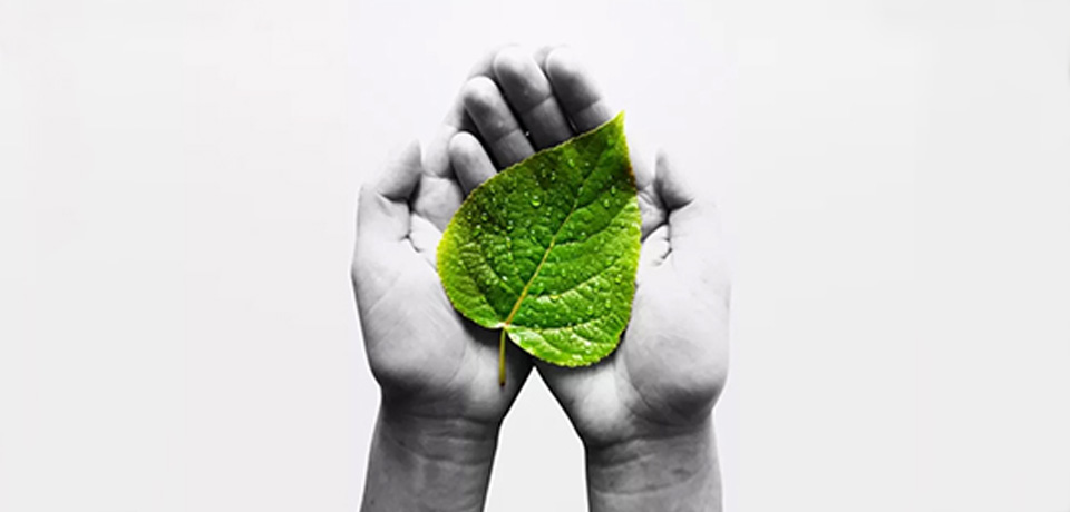 The State Environmental Protection Department Highly Appraised Our Environmental Protection Work.