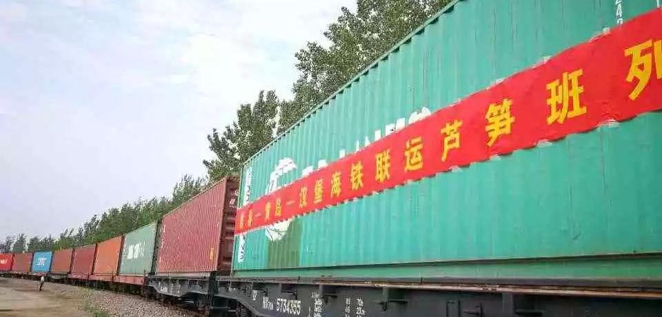 Ocean-rail transportation——Caoxian has launched an asparagus express train to help Countree Food go abroad!