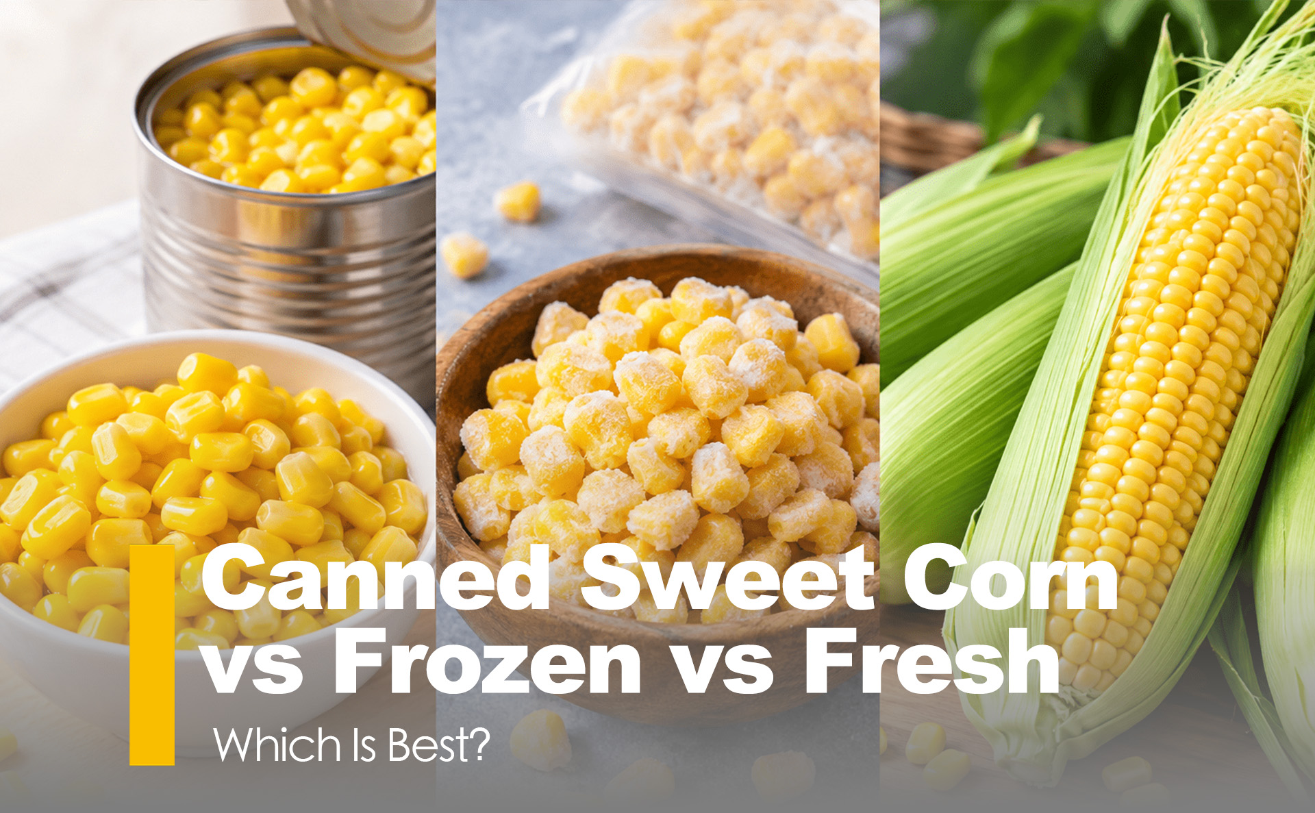 Canned Sweet Corn vs Frozen vs Fresh: Which Is Best?