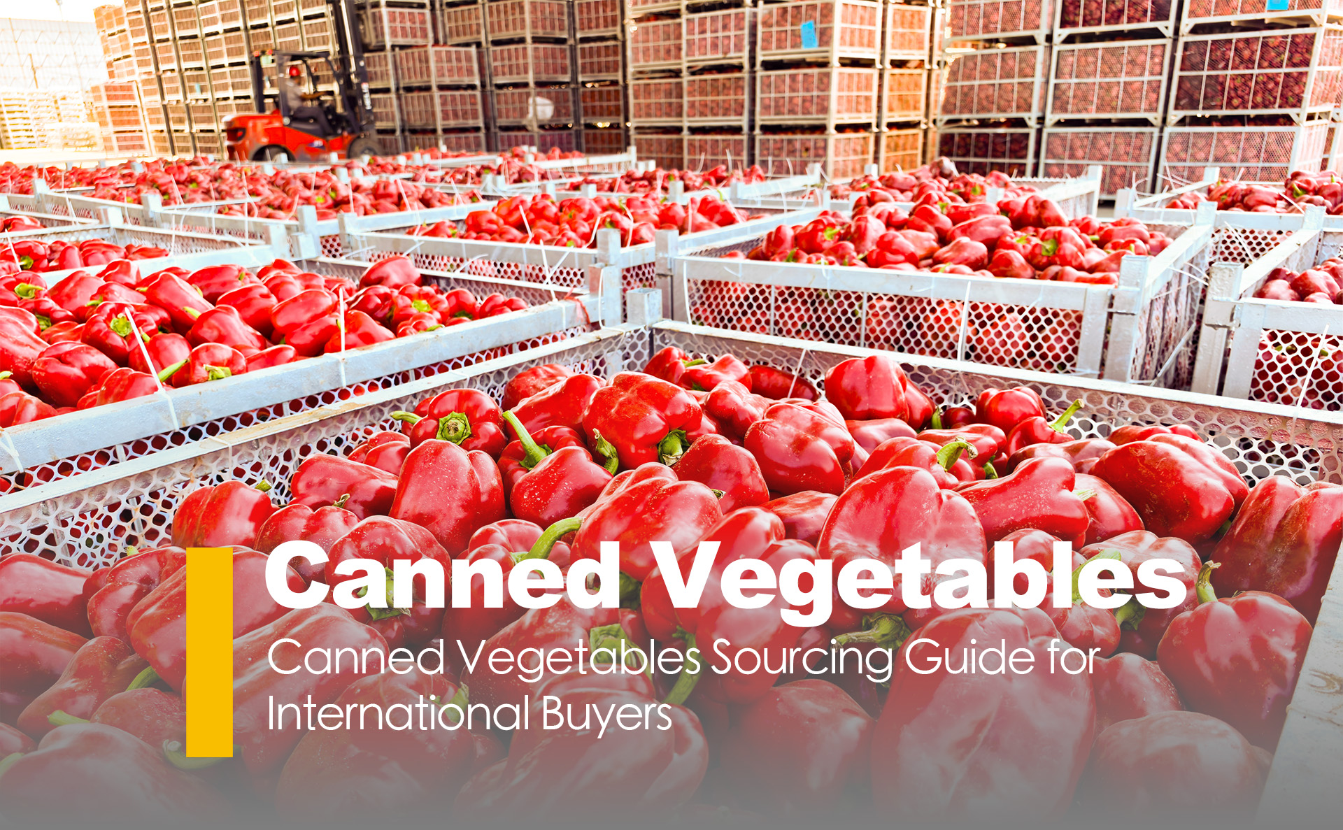 Canned Vegetables Sourcing Guide for International Buyers