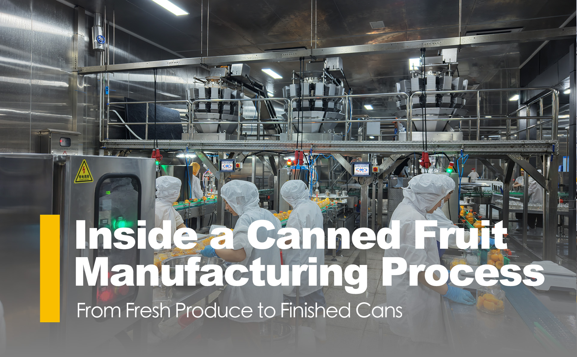 Inside a Canned Fruit Manufacturing Process: From Fresh Produce to Finished Cans