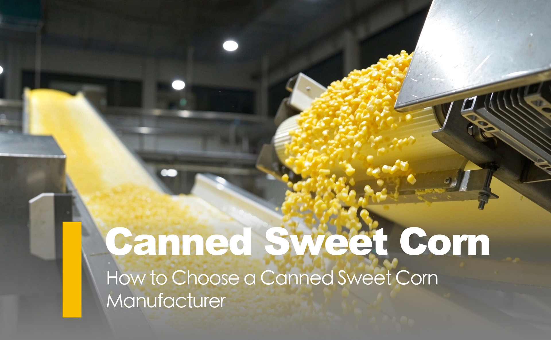 How to Choose a Canned Sweet Corn Manufacturer
