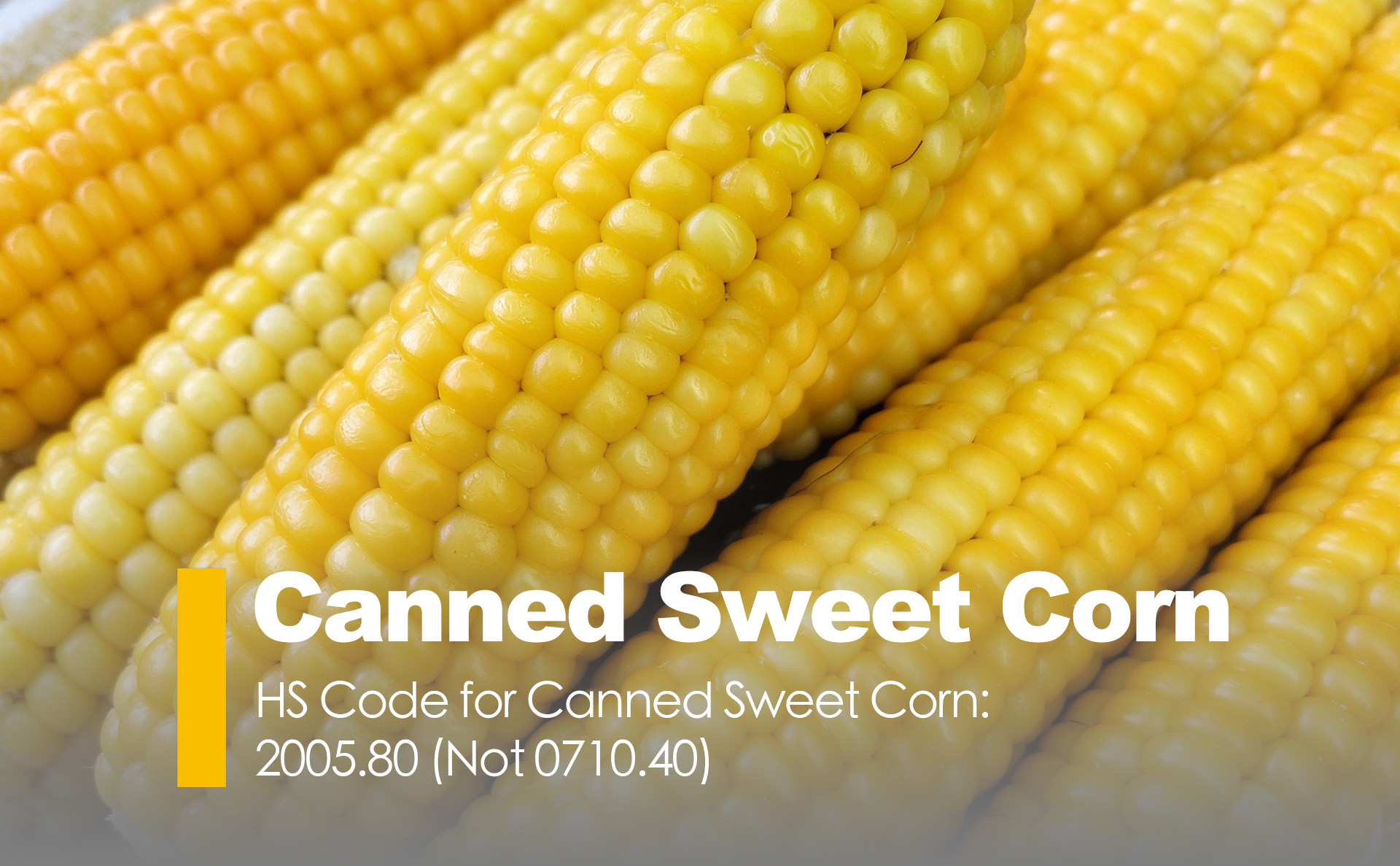 HS Code for Canned Sweet Corn: 2005.80 (Not 0710.40)